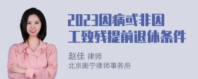 2023因病或非因工致残提前退休条件