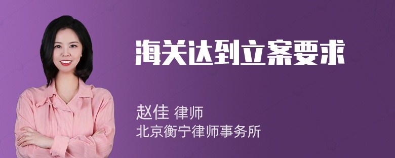 海关达到立案要求