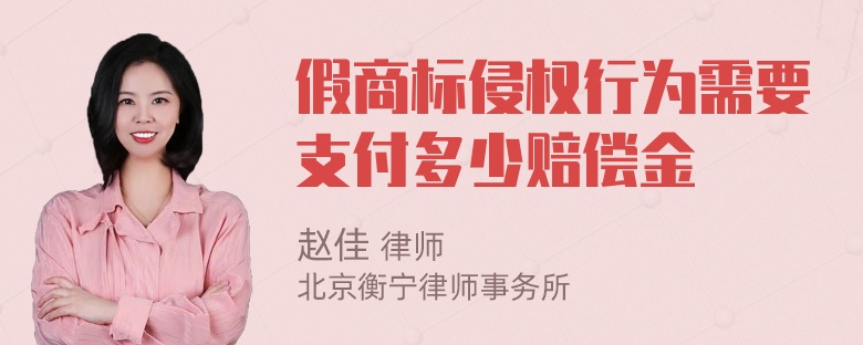 假商标侵权行为需要支付多少赔偿金