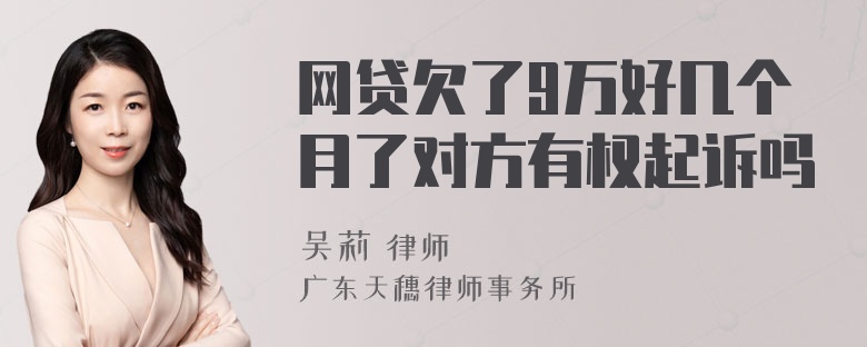 网贷欠了9万好几个月了对方有权起诉吗