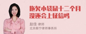 拖欠小袋鼠十二个月没还会上征信吗