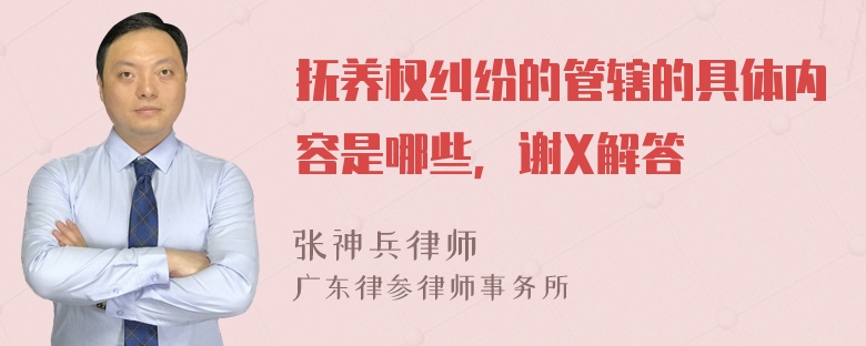 抚养权纠纷的管辖的具体内容是哪些，谢X解答