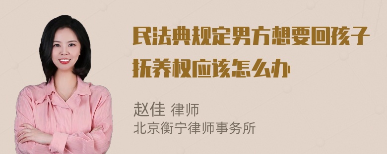 民法典规定男方想要回孩子抚养权应该怎么办