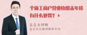 个体工商户营业执照未年检有什么处罚？＋