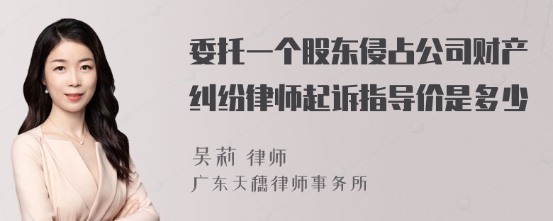 委托一个股东侵占公司财产纠纷律师起诉指导价是多少