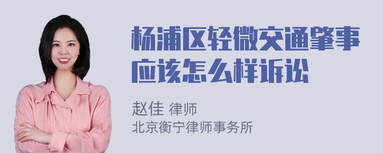 杨浦区轻微交通肇事应该怎么样诉讼