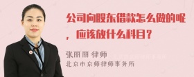 公司向股东借款怎么做的呢，应该放什么科目？