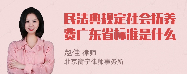 民法典规定社会抚养费广东省标准是什么