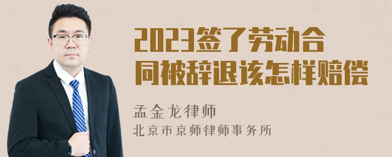 2023签了劳动合同被辞退该怎样赔偿