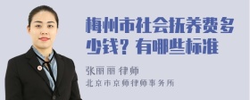 梅州市社会抚养费多少钱？有哪些标准