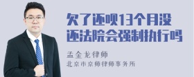 欠了还呗13个月没还法院会强制执行吗