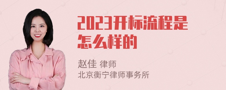 2023开标流程是怎么样的