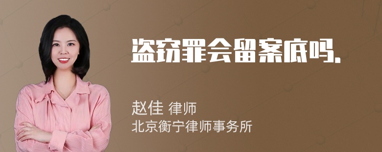 盗窃罪会留案底吗．