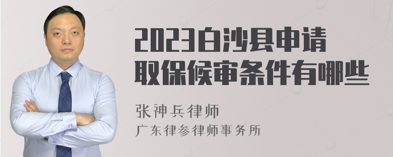 2023白沙县申请取保候审条件有哪些