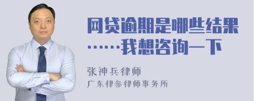 网贷逾期是哪些结果……我想咨询一下