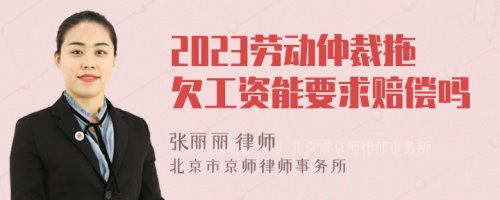 2023劳动仲裁拖欠工资能要求赔偿吗