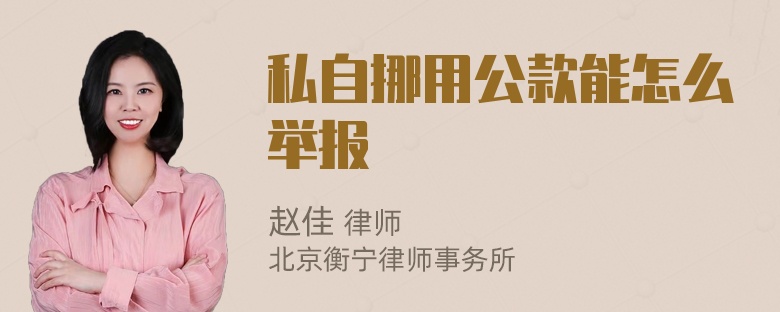 私自挪用公款能怎么举报