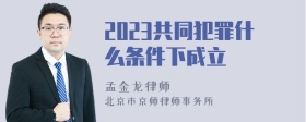 2023共同犯罪什么条件下成立