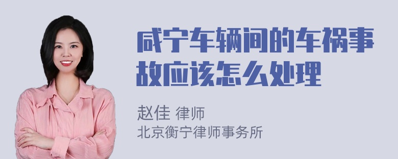 咸宁车辆间的车祸事故应该怎么处理