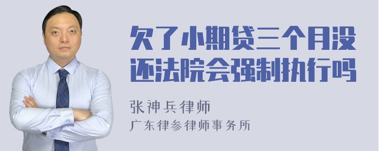 欠了小期贷三个月没还法院会强制执行吗