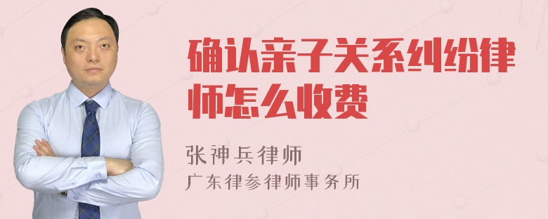 确认亲子关系纠纷律师怎么收费