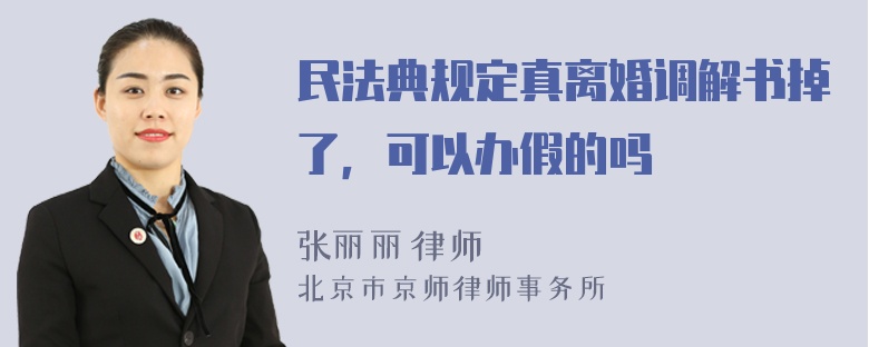 民法典规定真离婚调解书掉了，可以办假的吗