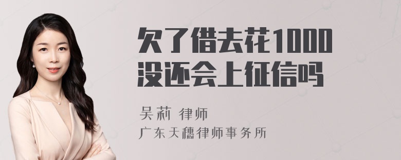 欠了借去花1000没还会上征信吗