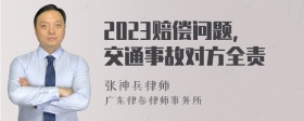 2023赔偿问题，交通事故对方全责