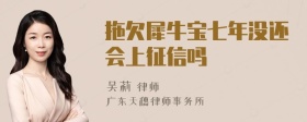 拖欠犀牛宝七年没还会上征信吗