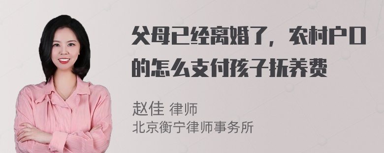 父母已经离婚了，农村户口的怎么支付孩子抚养费