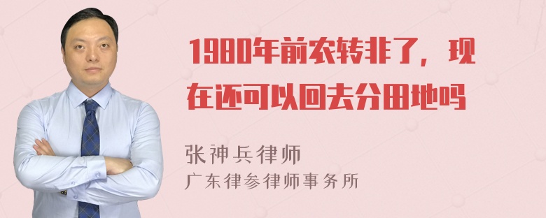 1980年前农转非了，现在还可以回去分田地吗