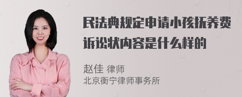 民法典规定申请小孩抚养费诉讼状内容是什么样的