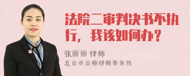 法院二审判决书不执行，我该如何办？