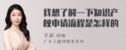 我想了解一下知识产权申请流程是怎样的