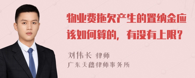 物业费拖欠产生的置纳金应该如何算的，有没有上限？