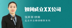 如何成立XX公司