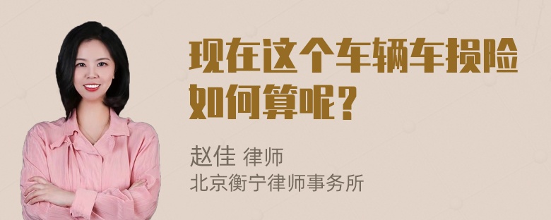 现在这个车辆车损险如何算呢？