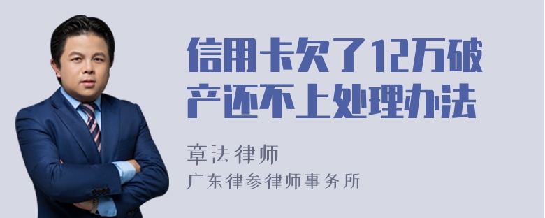 信用卡欠了12万破产还不上处理办法