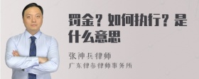 罚金？如何执行？是什么意思