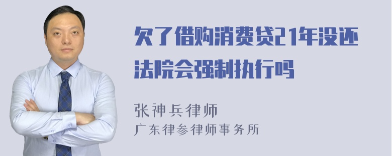 欠了借购消费贷21年没还法院会强制执行吗