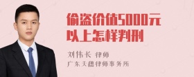 偷盗价值5000元以上怎样判刑