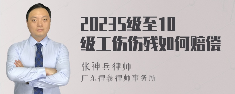 20235级至10级工伤伤残如何赔偿