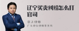 辽宁买卖纠纷怎么打官司