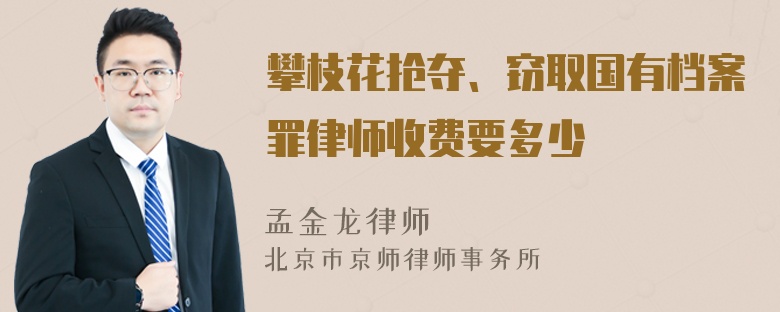 攀枝花抢夺、窃取国有档案罪律师收费要多少