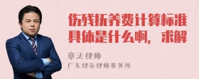 伤残抚养费计算标准具体是什么啊，求解