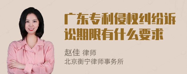 广东专利侵权纠纷诉讼期限有什么要求