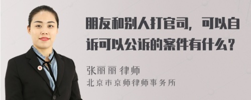 朋友和别人打官司，可以自诉可以公诉的案件有什么？