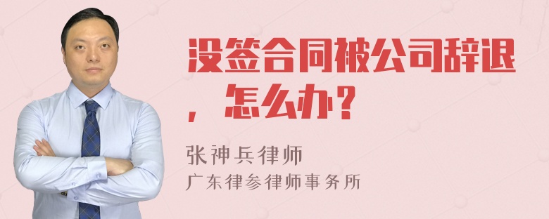 没签合同被公司辞退，怎么办？