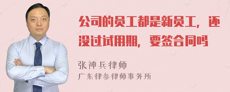 公司的员工都是新员工，还没过试用期，要签合同吗