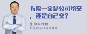 五险一金是公司给交，还是自己交？